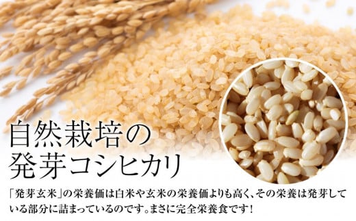 米 お米 令和5年・新潟県産 JAS有機栽培アイガモ農法 コシヒカリ 発芽玄米 2kg こしひかり こめ 新潟 上越