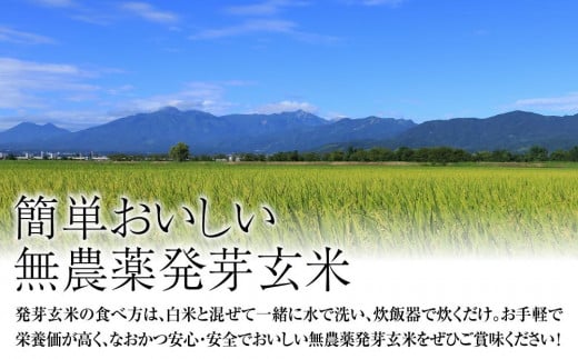 米 お米 令和5年・新潟県産 JAS有機栽培アイガモ農法 コシヒカリ 発芽玄米 2kg こしひかり こめ 新潟 上越