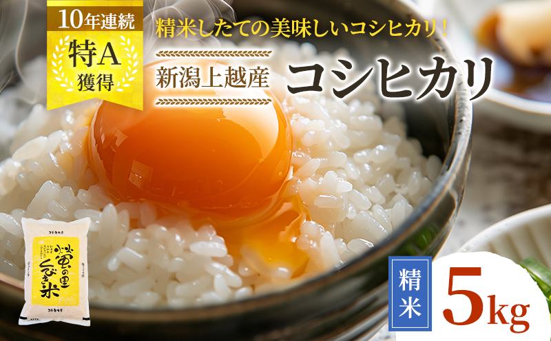 【令和6年産】新潟上越産コシヒカリ 5kg｜コシヒカリ 米 こしひかり こめ おすすめ 新潟 新潟県産 にいがた 上越 上越産