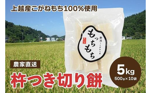 【500袋限定】杵つき切り餅「もっちもち」10袋(合計100個入り)新潟産 もち米・こがねもち100%