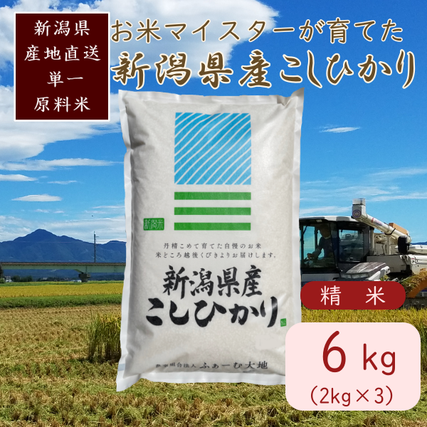 令和7年産 お米マイスターが育てた上越産コシヒカリ6kg(2kg×3) 白米　精米