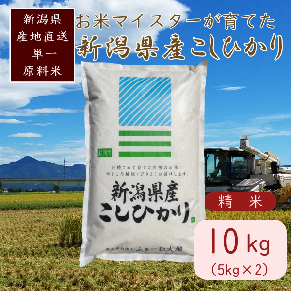 令和7年産 お米マイスターが育てた上越産コシヒカリ10kg(5kg×2)白米　精米