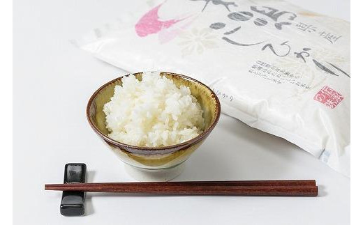 令和7年産 お米マイスターが育てた上越産コシヒカリ2kg(2kg×1)無洗米