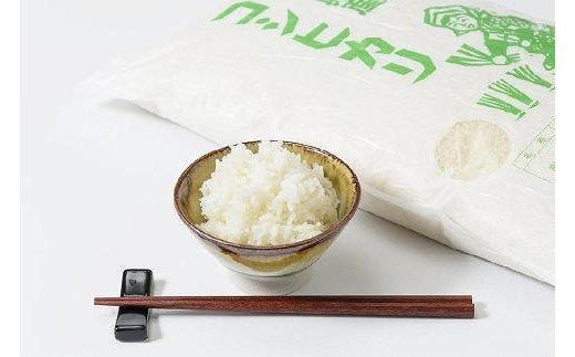 令和7年産 お米マイスターが育てた上越産コシヒカリ5kg(5kg×1)無洗米