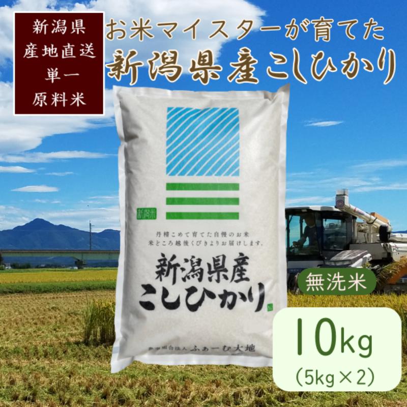 令和7年産 お米マイスターが育てた上越産コシヒカリ10kg(5kg×2)無洗米