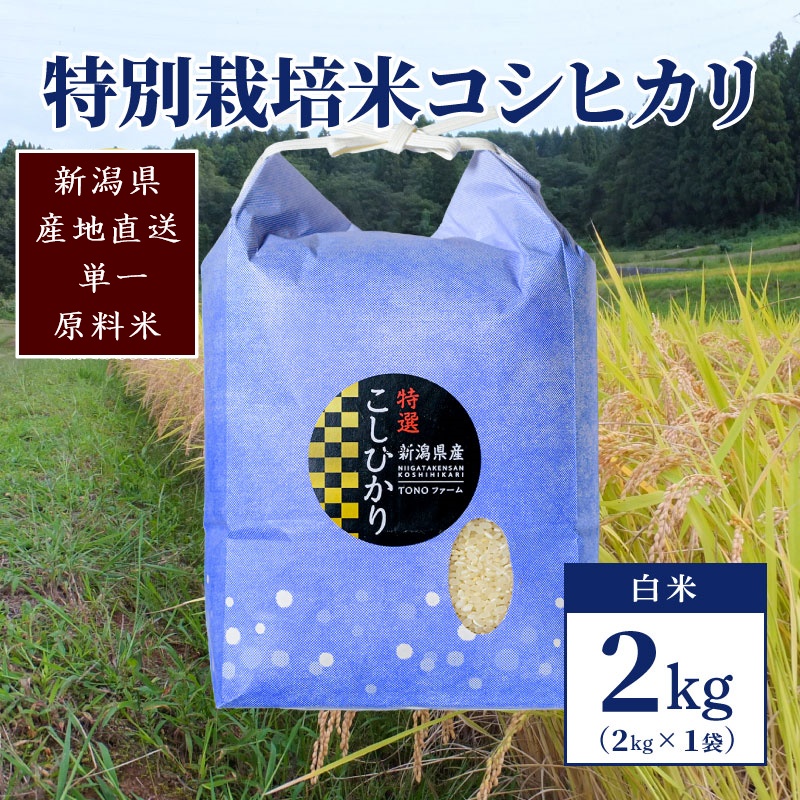 【50セット限定】令和6年産 新潟上越清里産 特別栽培米コシヒカリ2kg(2kg×1袋)白米