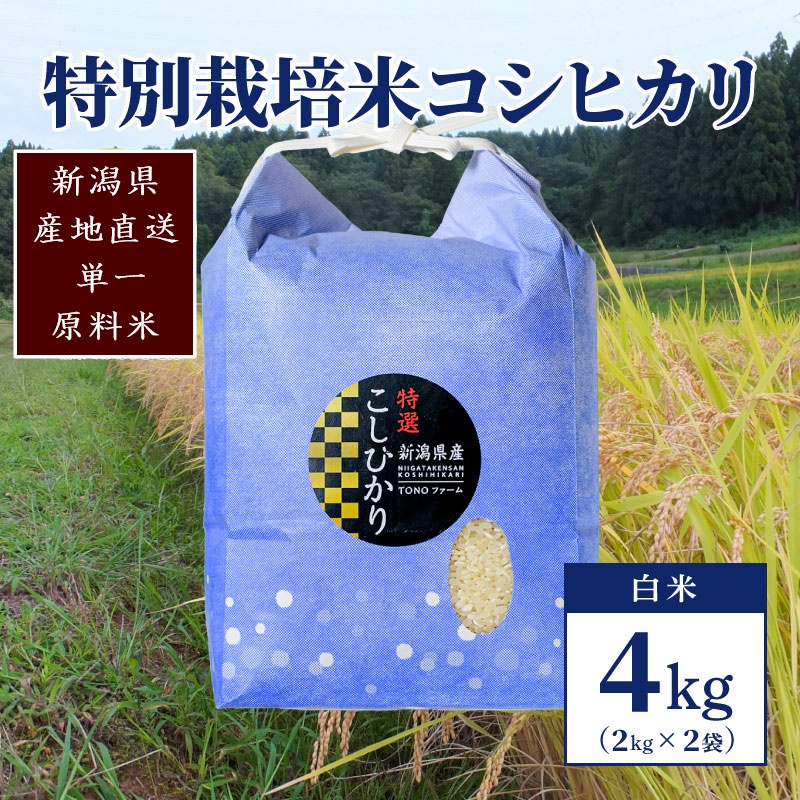 【50セット限定】令和6年産 新潟上越清里産 特別栽培米コシヒカリ4kg(2kg×2袋)白米