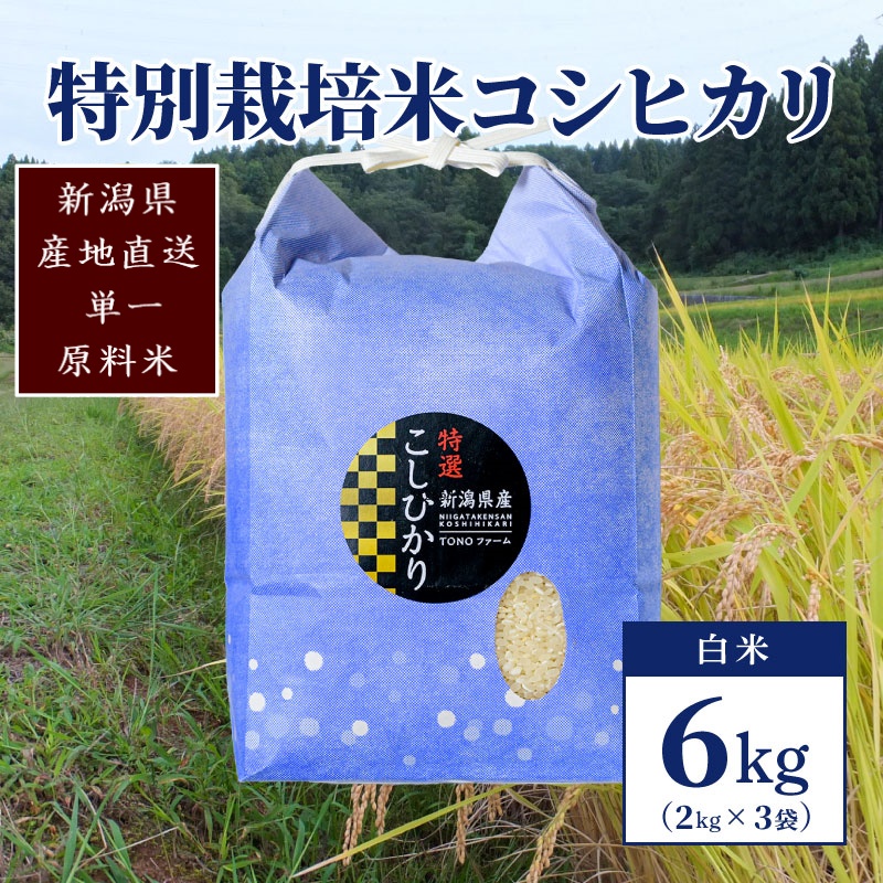 【50セット限定】令和6年産 新潟上越清里産 特別栽培米コシヒカリ6kg(2kg×3袋)白米