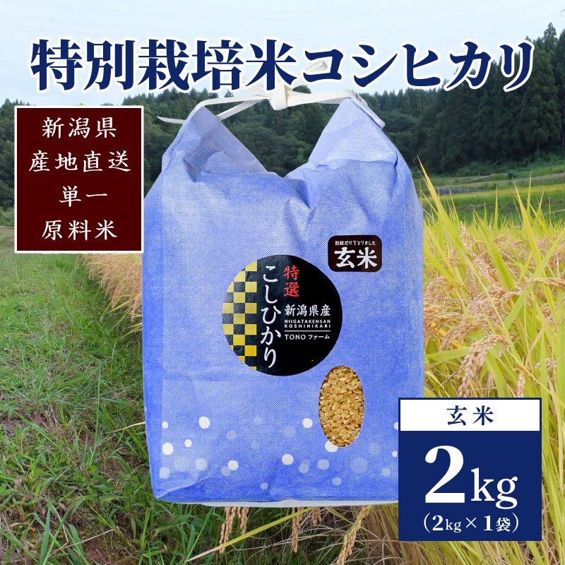 【50セット限定】令和6年産 新潟上越清里産 特別栽培米コシヒカリ2kg(2kg×1袋)玄米