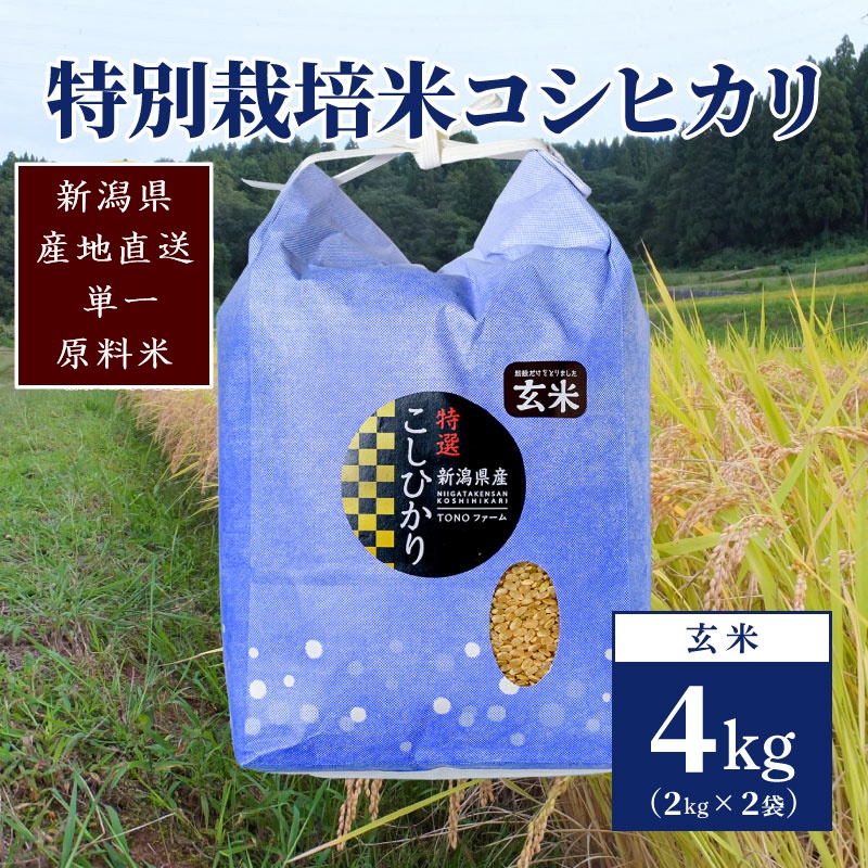 【50セット限定】令和6年産 新潟上越清里産 特別栽培米コシヒカリ4kg(2kg×2袋)玄米