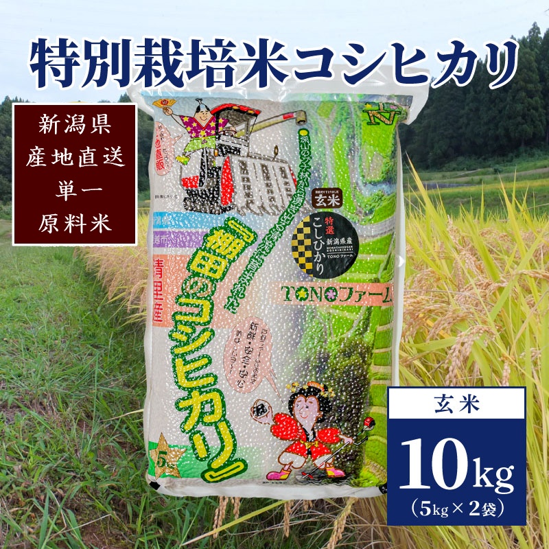 【50セット限定】令和6年産 新潟上越清里産 特別栽培米コシヒカリ10kg(5kg×2袋)玄米