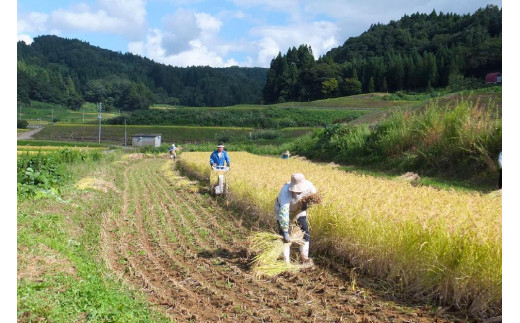 【50セット限定】令和6年産 新潟上越清里東戸野産 お米食べ比べギフトセットA 3種類 合計3kg