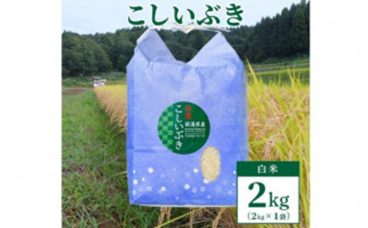 【数量限定】令和6年産新潟上越清里東戸野産｜新潟県限定品種こしいぶき2kg（2kg×1）白米　精米