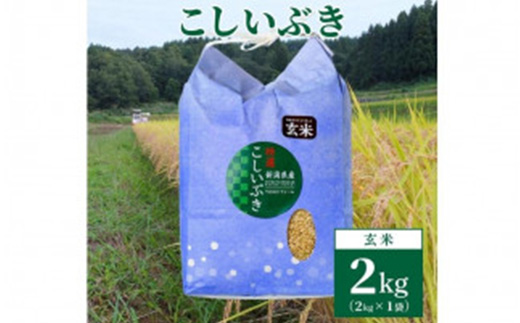 【数量限定】令和6年産｜新潟上越清里東戸野産｜新潟県限定品種こしいぶき2kg（2kg×1袋）玄米