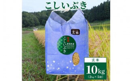 【数量限定】令和6年産｜新潟上越清里東戸野産｜新潟県限定品種こしいぶき10kg（2kg×5袋）玄米