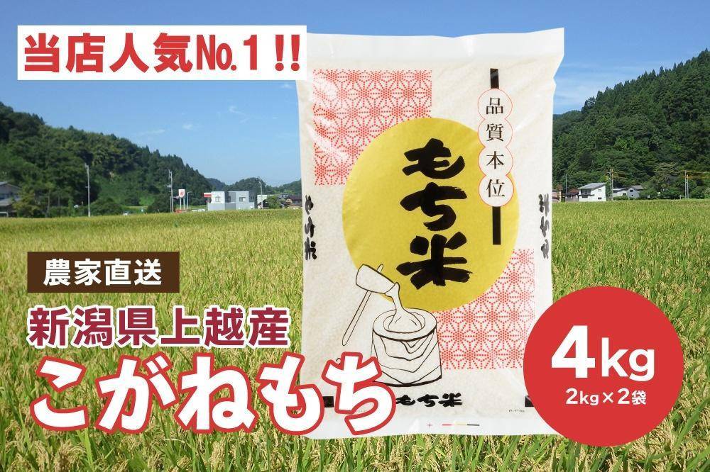 ブランドもち米「 こがねもち 」令和6年産／【精米4kg（2kg×2袋）】コガネモチ 米 お米 こめ 新潟 上越