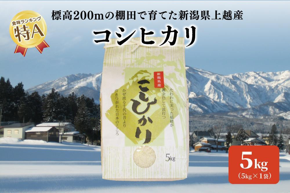 標高200mで育てた棚田米|令和7年産・新潟県上越市中郷産・従来種コシヒカリ精米5kg