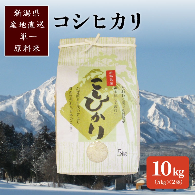 標高200mで育てた棚田米|令和7年産・新潟県上越産・従来種コシヒカリ精米10kg(5kg×2袋)