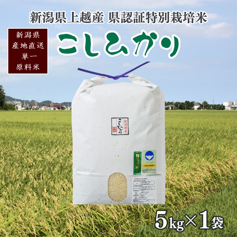 令和7年産/新潟県上越産 人気のお米「新潟県認証特別栽培米コシヒカリ」精米5kg