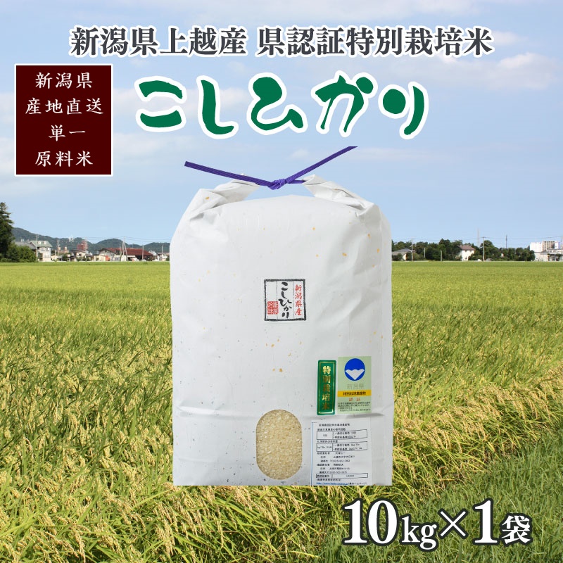 令和7年産/新潟県上越産 人気のお米「新潟県認証特別栽培米コシヒカリ」精米10kg