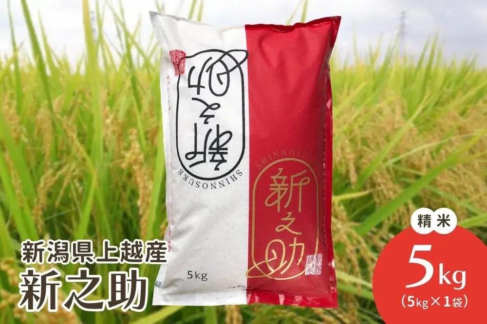 令和7年産/新潟県上越産ブランド米「新潟県認証特別栽培米・新之助」精米5kg