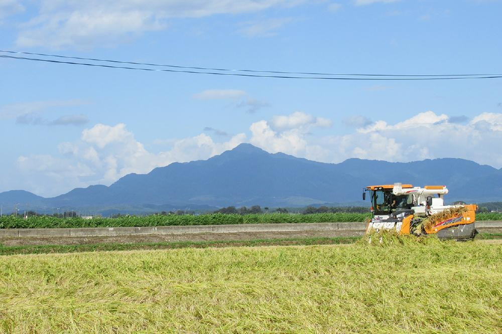 令和7年産 お米マイスターが育てた上越産みずほの輝き 5kg(5kg×1)無洗米