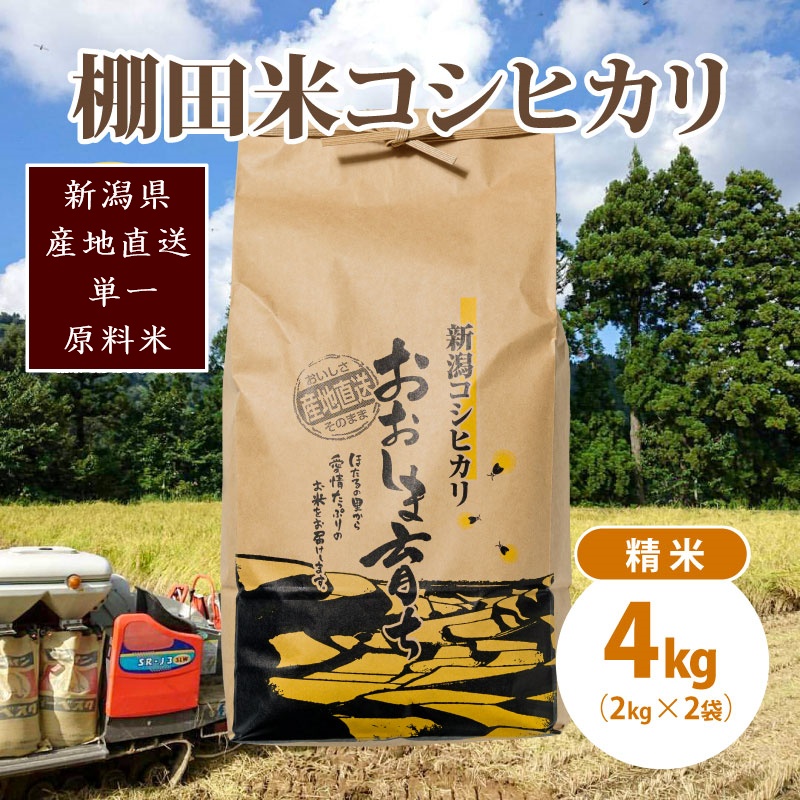 極少量米:数量限定令和6年産/新潟県上越市大島区産棚田米コシヒカリ 4kg(2kg×2)精米