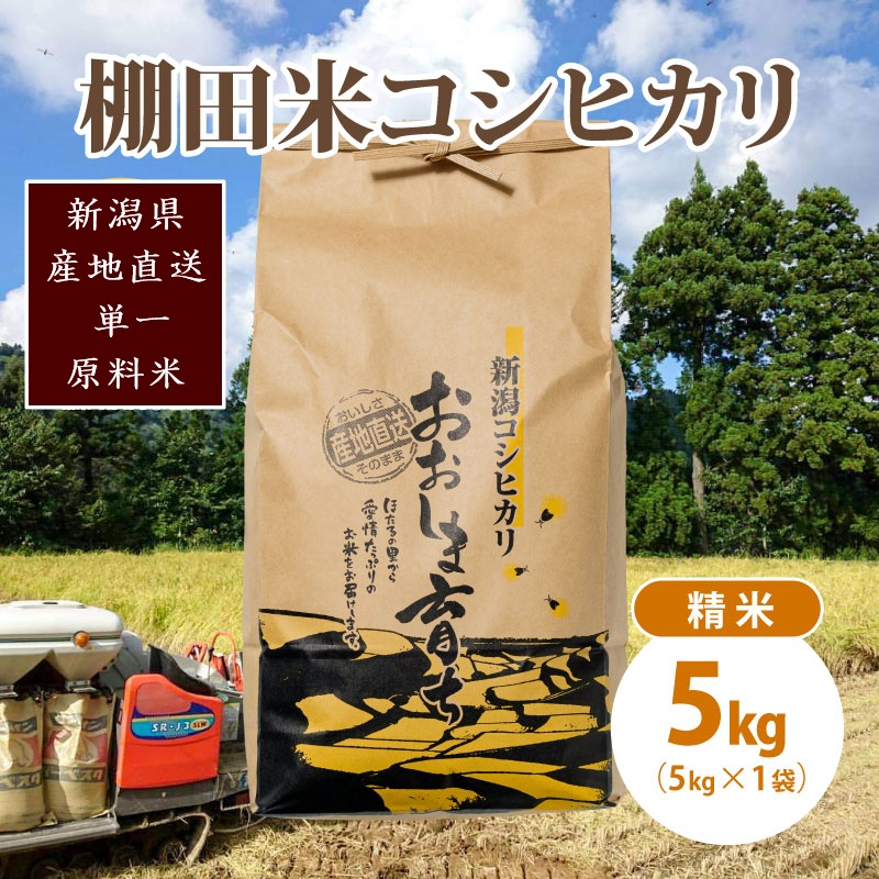 極少量米:数量限定令和6年産/新潟県上越市大島区産棚田米コシヒカリ 5kg(5kg×1)精米