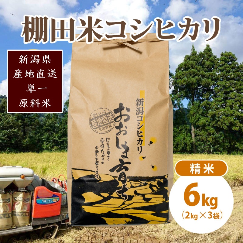 極少量米:数量限定令和6年産/新潟県上越市大島区産棚田米コシヒカリ 6kg(2kg×3)精米