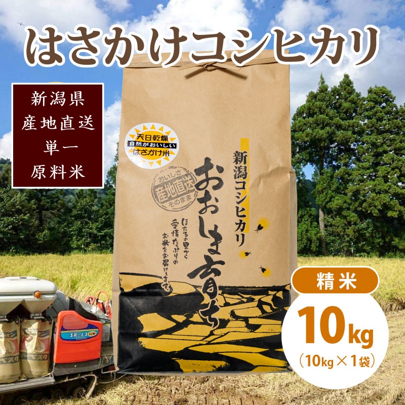 極少量米:数量限定令和6年産/新潟県上越市大島区産 棚田米コシヒカリ 10kg(10kg×1)精米