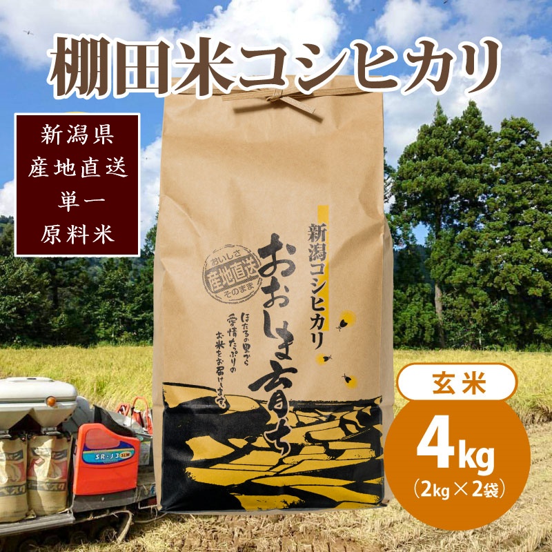 極少量米:数量限定令和6年産/新潟県上越市大島区産 棚田米コシヒカリ 4kg(2kg×2)玄米