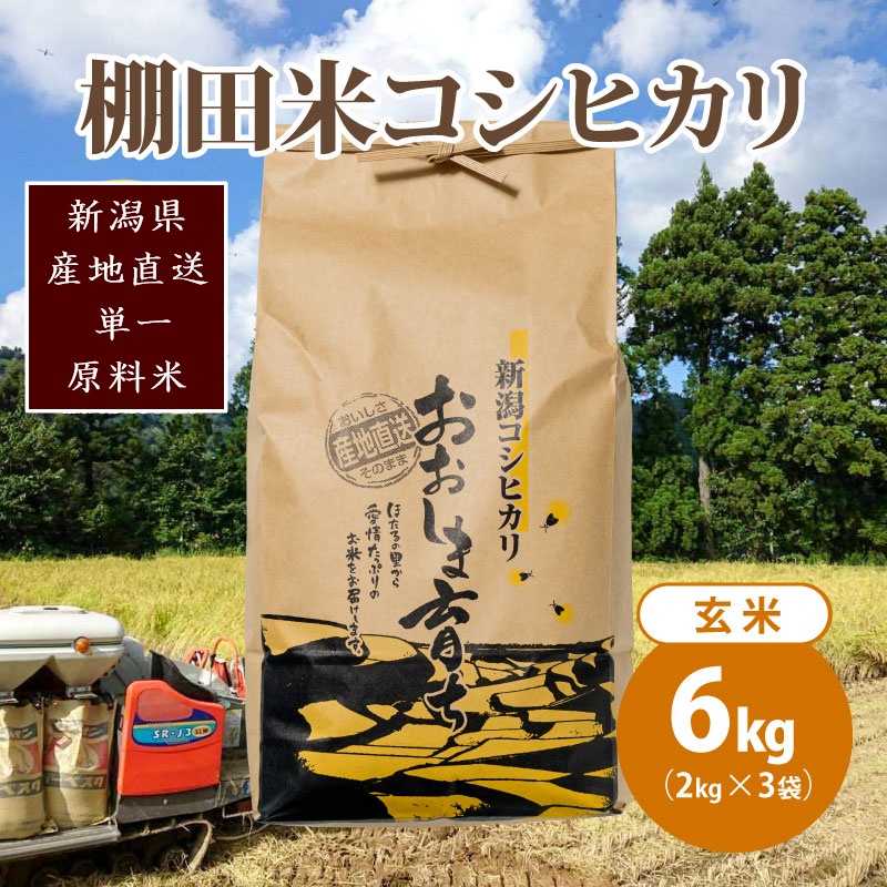 極少量米:数量限定令和6年産/新潟県上越市大島区産 棚田米コシヒカリ 6kg(2kg×3)玄米