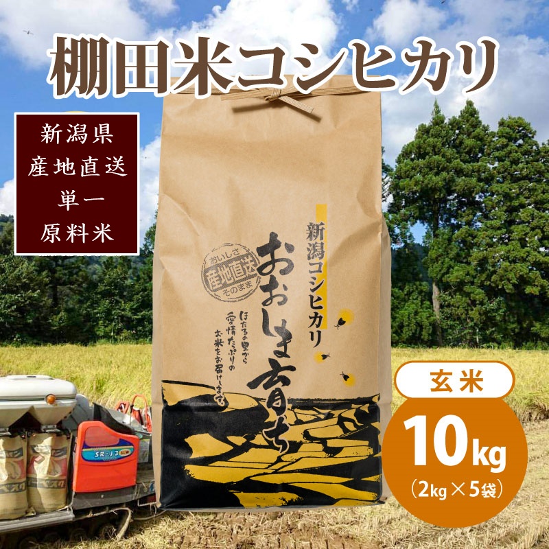 極少量米:数量限定令和6年産/新潟県上越市大島区産 棚田米コシヒカリ 10kg(2kg×5)玄米