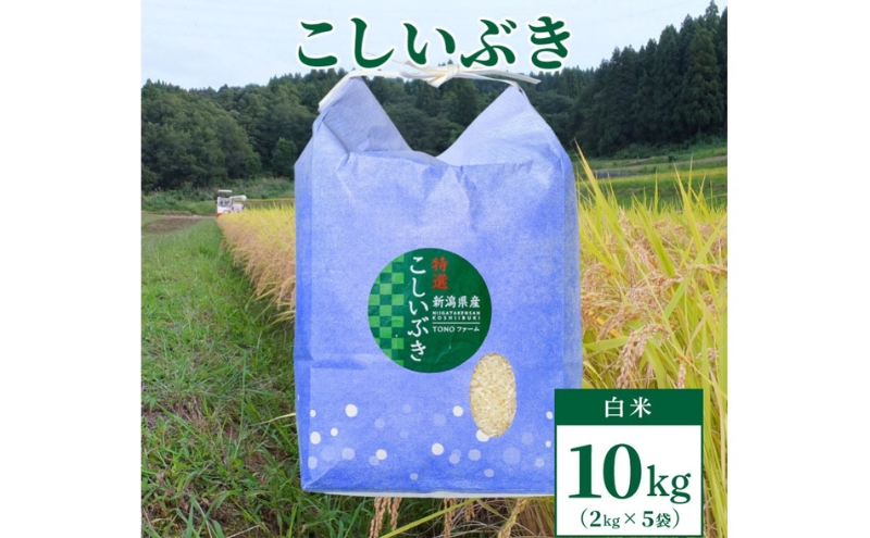 【数量限定】令和6年産｜新潟上越清里東戸野産｜新潟県限定品種こしいぶき10kg（2kg×5袋）白米　精米