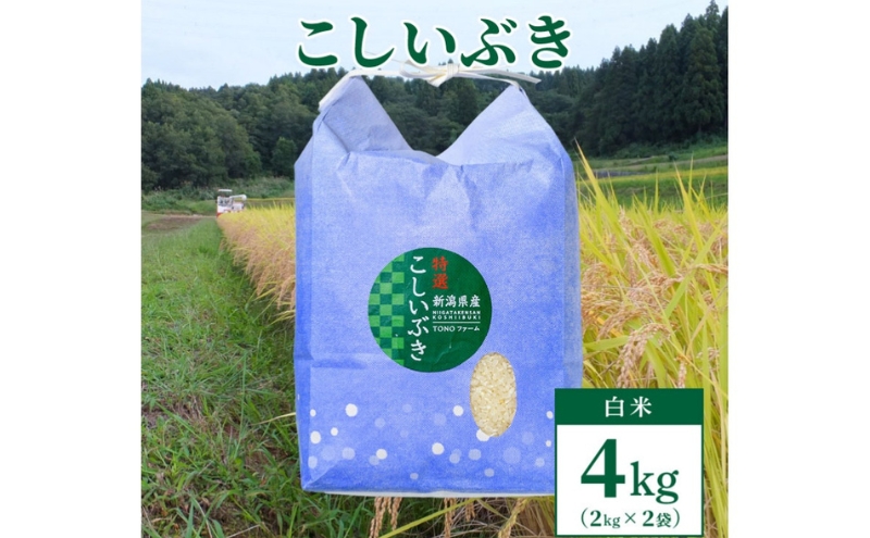 【数量限定】令和6年産新潟上越清里東戸野産｜新潟県限定品種こしいぶき4kg（2kg×2）白米　精米