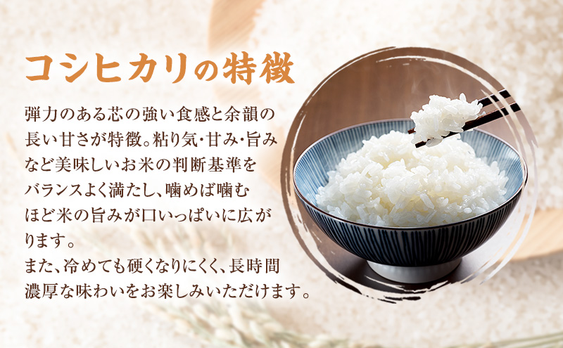 å®æäŸ¿ 4åã4åãå±ããæ°æœããããæãã¯ãã»ããB (è¶åŸã¿ããããå°ã€ã¶900gãšããã²ãã5kg)3ã¶æ1å