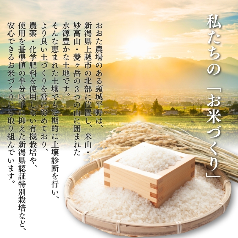 令和7年産 新潟県上越産 有機栽培米 コシヒカリ 【無洗米】 5kg 5キロ 精米 JAS有機栽培 こしひかり おおた農場 上越市