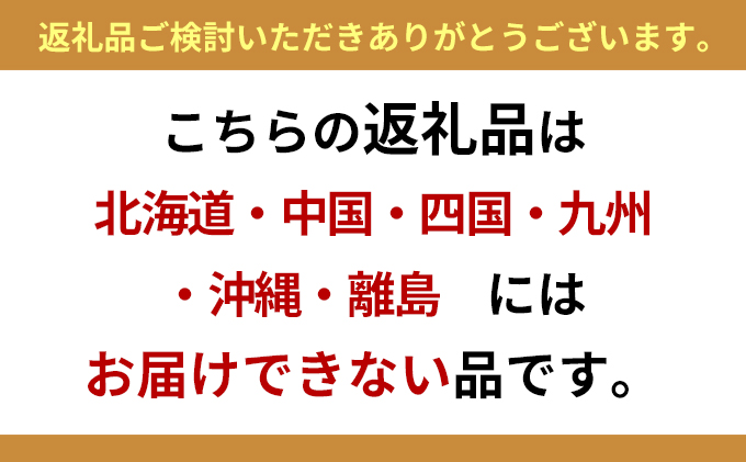 笹団子 謙信笹だんご 20個入り ささだんご 草餅 よもぎ 団子 和菓子 あんこ おやつ 上越市 新潟