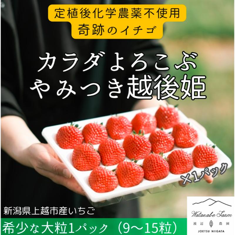 いちご 大粒 カラダよろこぶ やみつき 越後姫 約400g×1パック (9～15粒入り) イチゴ 苺 上越市 新潟