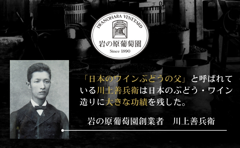 酒 岩の原ワイン ハーフサイズ6本セット（ 赤 ×2本 白 ×2本 ロゼ ×2本各360ml） ワイン ギフト 新潟 上越