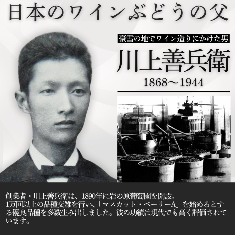 ワイン 岩の原ワイン代表ブランド 深雪花 赤 白 ロゼ 3本 セット （赤×1本、白×1本、ロゼ×1本 各720ml） お酒 岩の原 酒 ギフト 新潟 上越 最短3日で発送