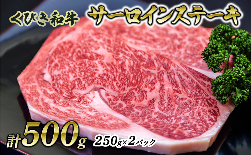 【にいがた和牛】くびき和牛　サーロインステーキ(250g×2枚)  上越市 牛肉 和牛