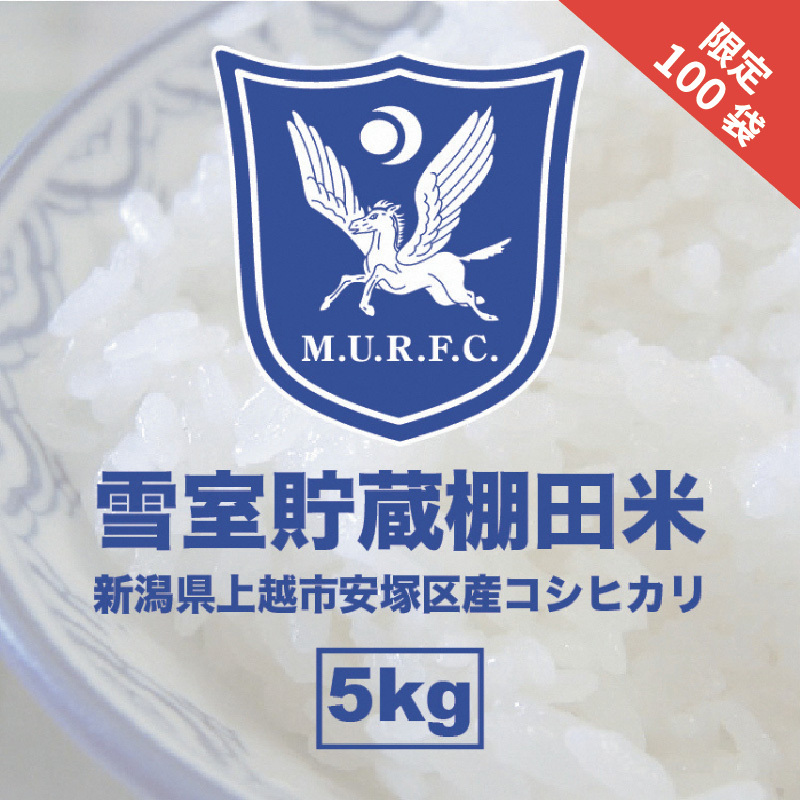 令和7年 新潟県産 コシヒカリ 雪むろ 棚田米 5kg 5キロ 白米 新米 明治大学ラグビー部 安塚 雪室 こめ 新潟 上越 上越市