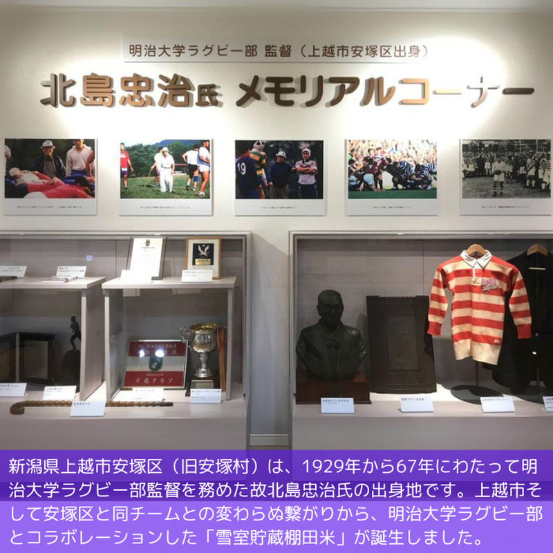 莉、蜥7蟷エ 譁ー貎溽恁逕」 繧ウ繧キ繝偵き繝ェ 髮ェ繧繧 譽夂伐邀ウ 10kg 10繧ュ繝ュ 5kgテ2 逋ス邀ウ 譁ー邀ウ 譏取イサ螟ァ蟄ヲ繝ゥ繧ー繝薙シ驛ィ 螳牙。 髮ェ螳、 縺薙a 譁ー貎 荳願カ 荳願カ雁ク