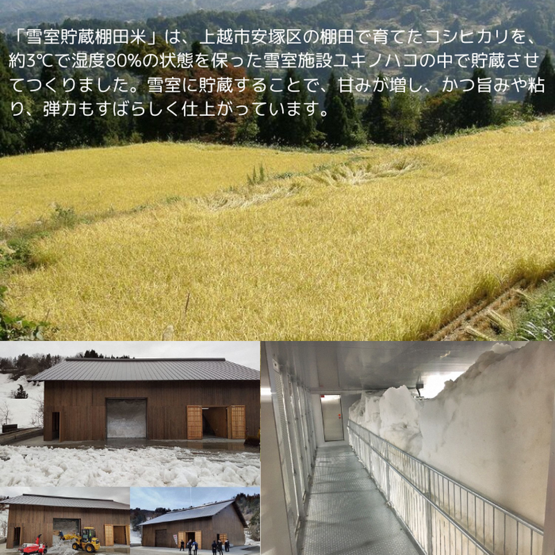 莉、蜥7蟷エ 譁ー貎溽恁逕」 繧ウ繧キ繝偵き繝ェ 髮ェ繧繧 譽夂伐邀ウ 10kg 10繧ュ繝ュ 5kgテ2 逋ス邀ウ 譁ー邀ウ 譏取イサ螟ァ蟄ヲ繝ゥ繧ー繝薙シ驛ィ 螳牙。 髮ェ螳、 縺薙a 譁ー貎 荳願カ 荳願カ雁ク