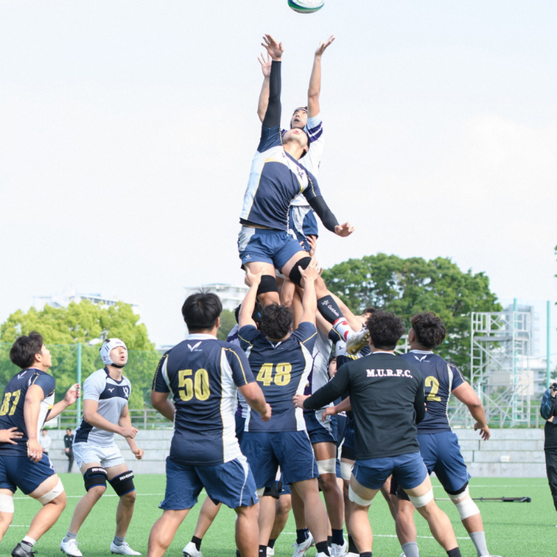 莉、蜥7蟷エ 譁ー貎溽恁逕」 繧ウ繧キ繝偵き繝ェ 髮ェ繧繧 譽夂伐邀ウ 10kg 10繧ュ繝ュ 5kgテ2 逋ス邀ウ 譁ー邀ウ 譏取イサ螟ァ蟄ヲ繝ゥ繧ー繝薙シ驛ィ 螳牙。 髮ェ螳、 縺薙a 譁ー貎 荳願カ 荳願カ雁ク