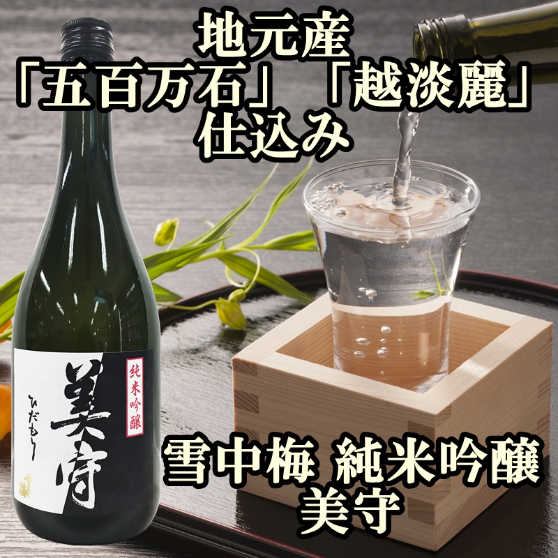 新潟純米吟醸酒 720ml 4本セット 雪中梅・吟田川・かたふね・越路乃紅梅 日本酒 お酒 飲み比べ  雪中梅 吟田川 かたふね 越路乃紅梅 ふるさと納税 人気 新潟 新潟県産 にいがた 上越 上越産