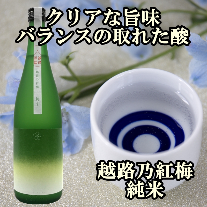 新潟純米酒 720ml 2本セット 越路乃紅梅・かたふね 日本酒 お酒 飲み比べ 越路乃紅梅 かたふね  ふるさと納税 人気 新潟 新潟県産 にいがた 上越 上越産