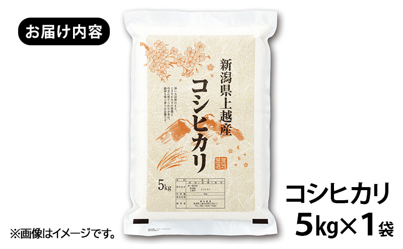 【新潟県上越市産】　新米コシヒカリ5kg 米 新米 こしひかり ご飯 精米 お米 新潟 