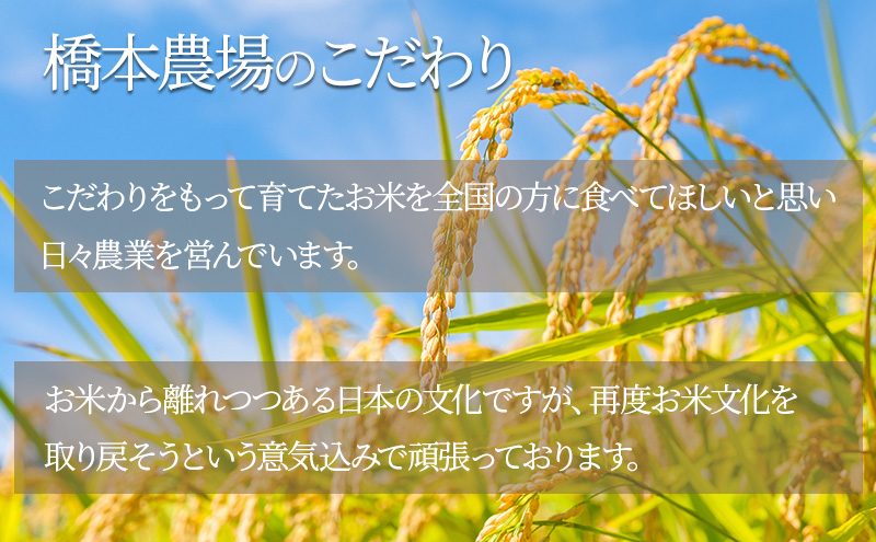 【新潟県上越市産　新米】虹のきらめき5kg 米 新米 ご飯 精米 お米 新潟 